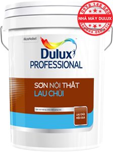 Sơn dự án Dulux Professional LAU CHÙI