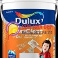Dulux Easy Clean